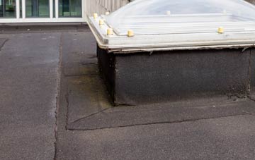 disadvantages of Buckland St Mary flat roofs
