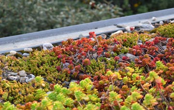 the cost of Buckland St Mary green roof installation