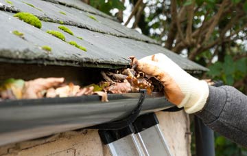 gutter cleaning Buckland St Mary, Somerset