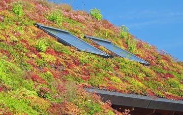 Buckland St Mary living roof systems
