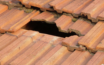 roof repair Buckland St Mary, Somerset