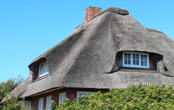 thatch roofing Buckland St Mary, Somerset