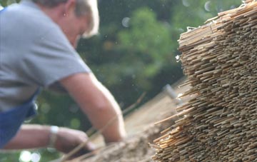 professional Buckland St Mary thatchers