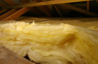 Buckland St Mary pitch roof insulation
